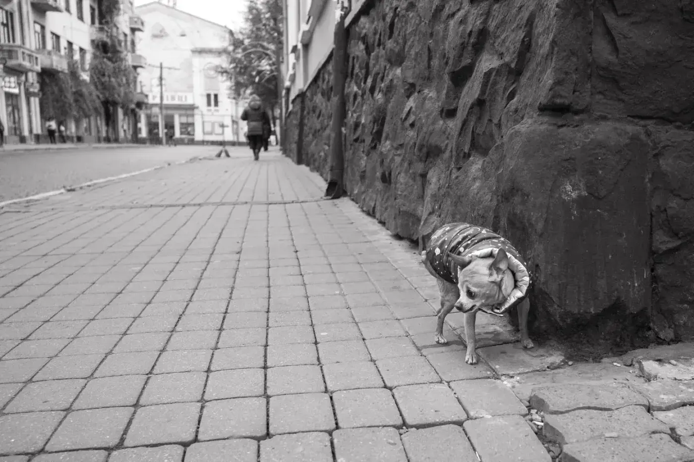 Street Photography: Art, Risk, and Pleasure