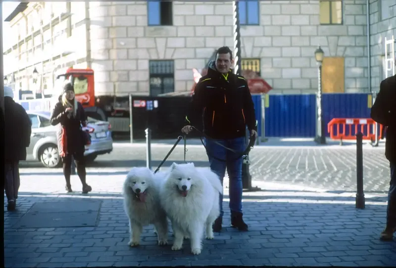 Budapest, Hungary — Budapest, Fujifilm Velvia 50 — photo captured with LS-5000