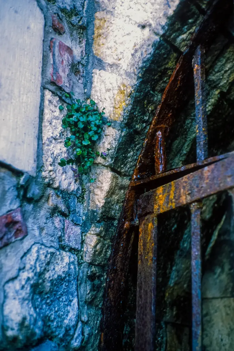 Budapest, Hungary — Budapest, Fujifilm Velvia 50 — photo captured with LS-5000