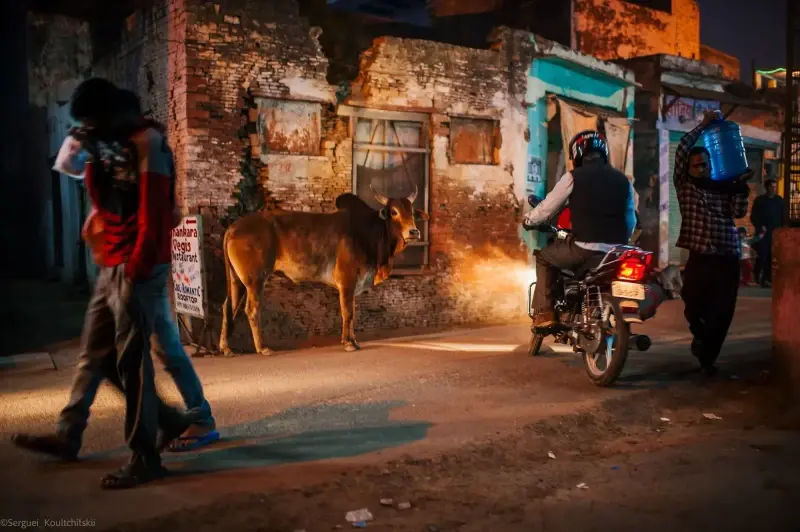 Agra, Uttar Pradesh, India — Agra — 2011 — photo captured with NIKON D3, 35.0 mm f/1.4