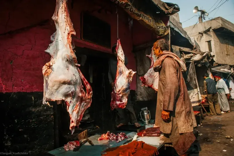 Agra, Uttar Pradesh, India — Agra — 2011 — photo captured with NIKON D3, 24.0-70.0 mm f/2.8