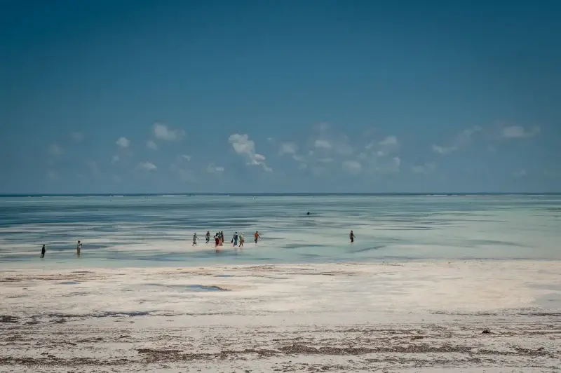 Zanzibar Archipelago, Tanzania — Zanzibar — photo captured with NIKON D3, 24.0-70.0 mm f/2.8