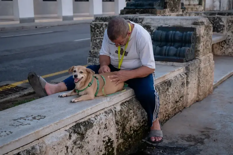 Paseo del Prado, Centro Habana, Havana, Cuba — La Habana. Paseo del Prado — photo captured with LEICA SL (Typ 601), VARIO-ELMARIT-SL 1:2.8-4/24-90 ASPH.