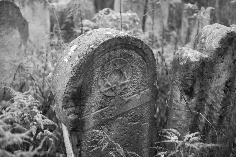 Альбом: Sadhora Synagogue and the old Jewish cemetery in Chernivtsi