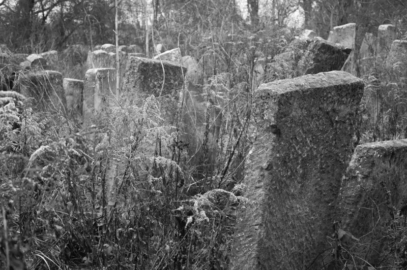 Альбом: Sadhora Synagogue and the old Jewish cemetery in Chernivtsi