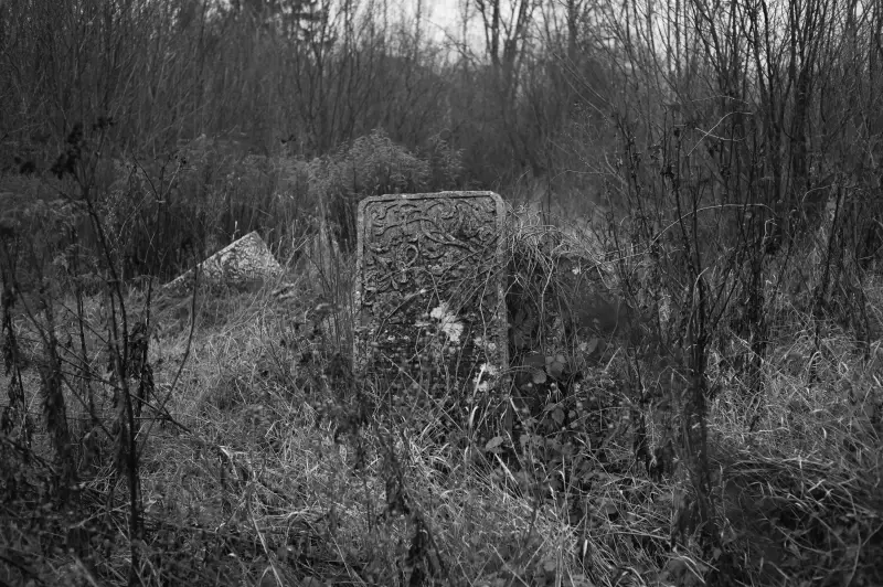 Альбом: Sadhora Synagogue and the old Jewish cemetery in Chernivtsi