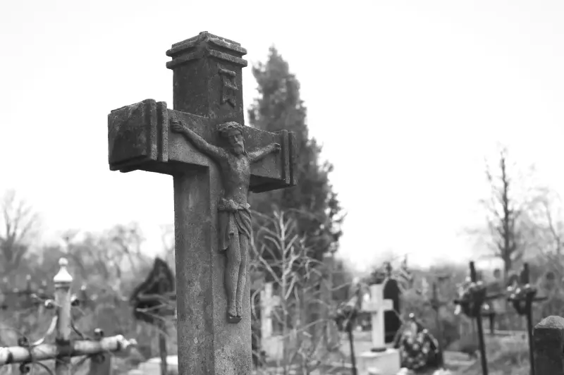 Альбом: Sadhora Synagogue and the old Jewish cemetery in Chernivtsi