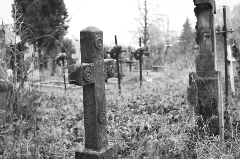 Альбом: Sadhora Synagogue and the old Jewish cemetery in Chernivtsi