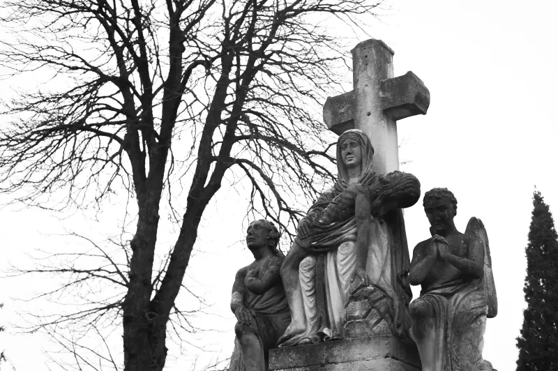 Альбом: Sadhora Synagogue and the old Jewish cemetery in Chernivtsi