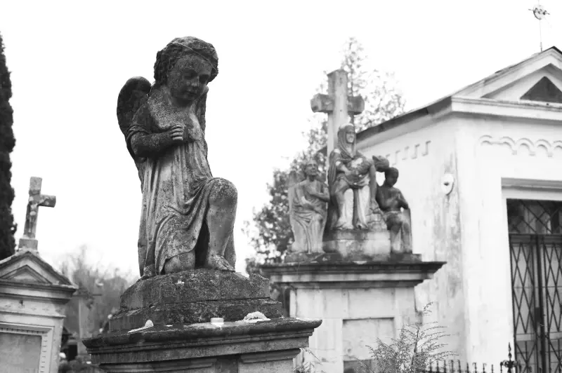 Альбом: Sadhora Synagogue and the old Jewish cemetery in Chernivtsi