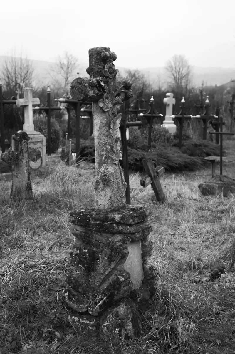 Альбом: Sadhora Synagogue and the old Jewish cemetery in Chernivtsi