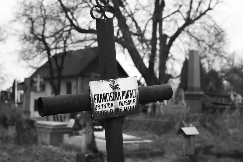 Альбом: Sadhora Synagogue and the old Jewish cemetery in Chernivtsi
