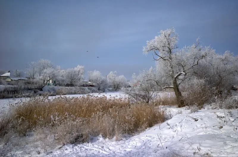 Volnovakha, Donetsk Oblast, Ukraine — Один день - початок.... — photo captured with M9 Digital Camera, Elmarit-M 28mm f/2.8 ASPH.