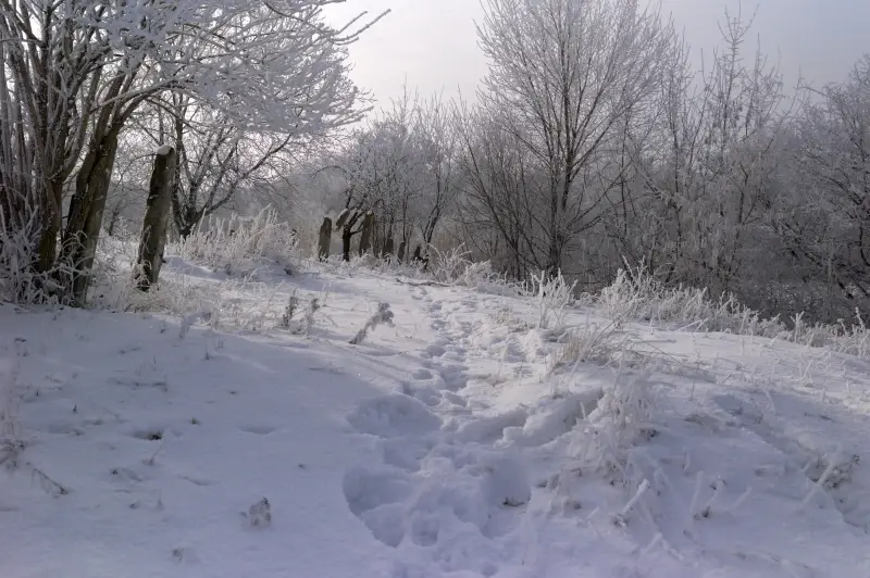 Volnovakha, Donetsk Oblast, Ukraine — Один день - початок.... — photo captured with M9 Digital Camera, Elmarit-M 28mm f/2.8 ASPH.