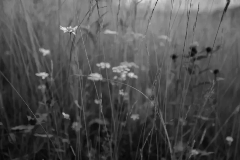 Polianytsia Bukovel, Ivano Frankivsk Oblast, Ukraine — Мій Буковель — photo captured with LEICA Q2, SUMMILUX 1:1.7/28 ASPH.