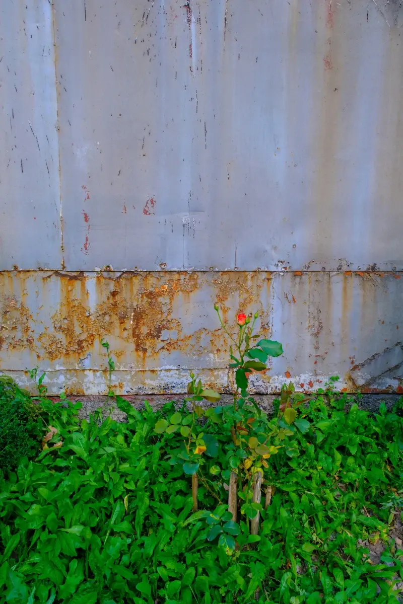 Vinnytsia Oblast, Ukraine — Щоденні маршрути