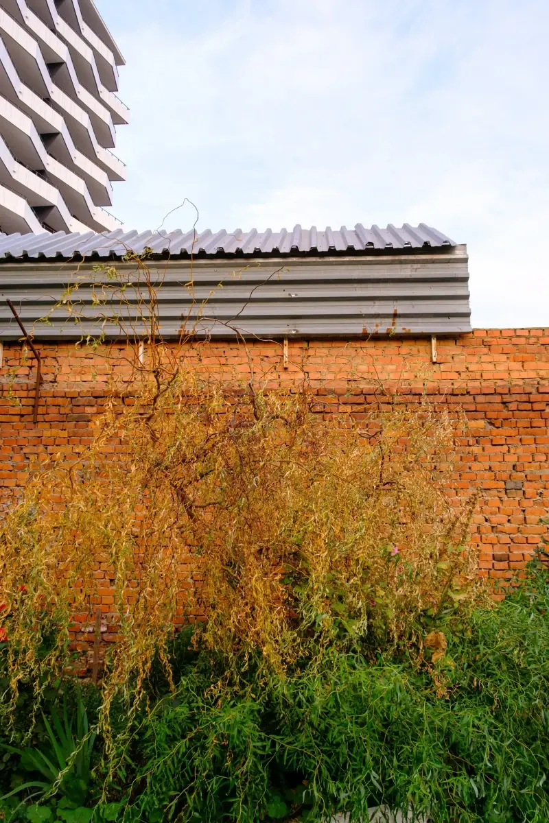 Vinnytsia Oblast, Ukraine — Щоденні маршрути